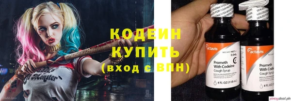 прущие грибы Волоколамск